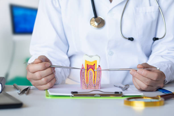 Best Emergency Root Canal Therapy in Drexel, OH